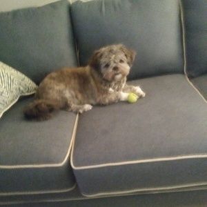 Meet your Posher, Arline